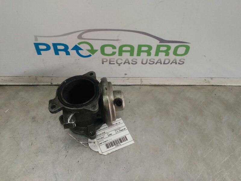 Válvula EGR (20259736).