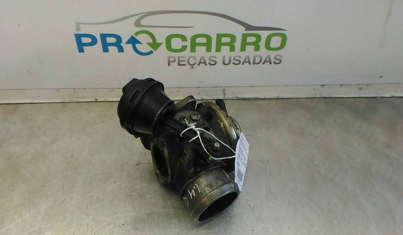 Válvula EGR (20263941).