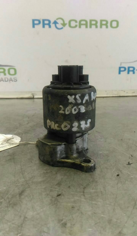 Válvula EGR (20268128).