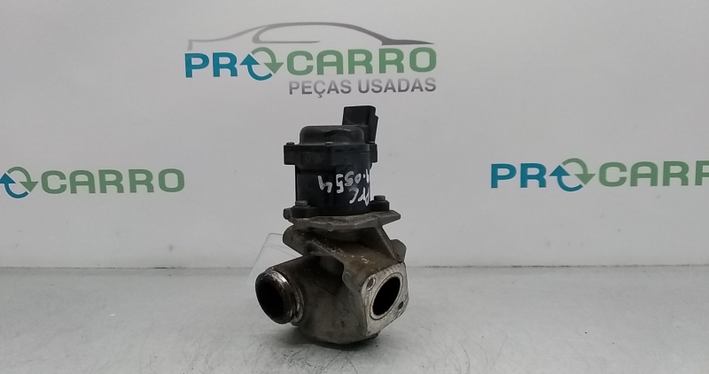 Válvula EGR (20330608).