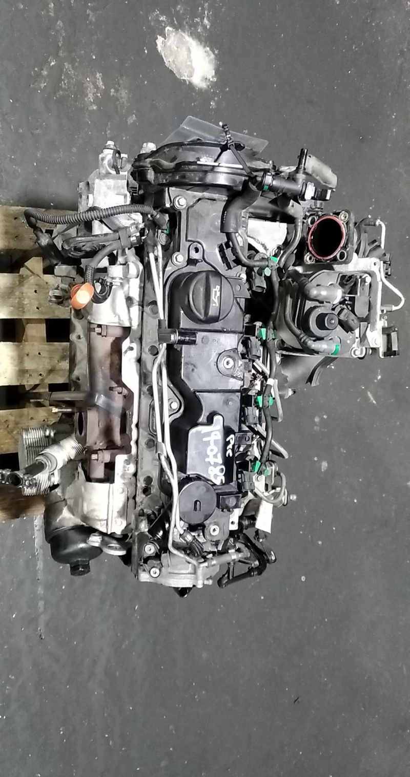 Bloco do Motor (20337019).