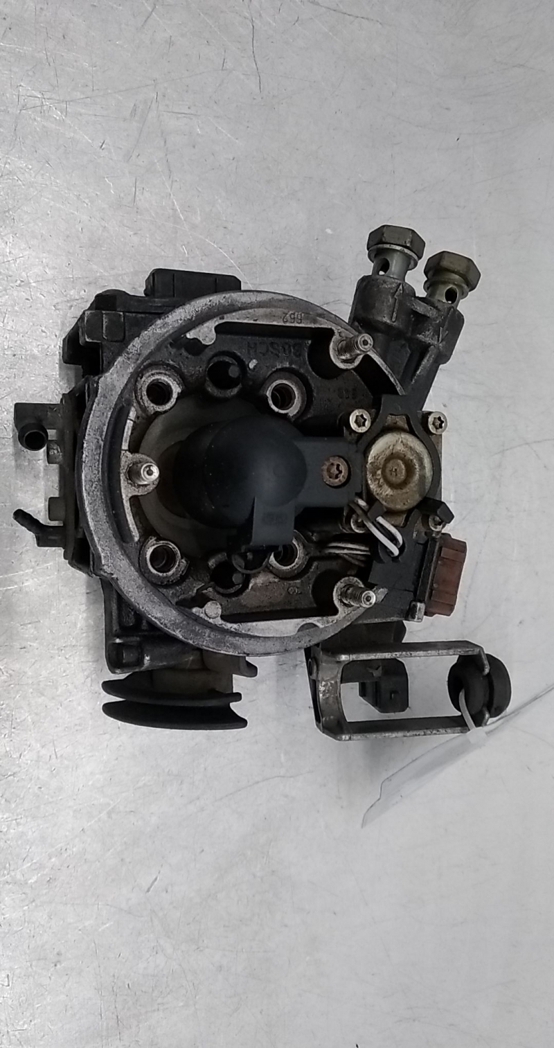 Corpo Borboleta 2 (20340511).