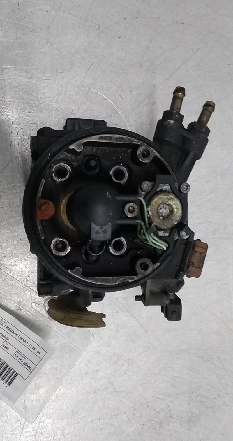 Corpo Borboleta 2 (20342281).