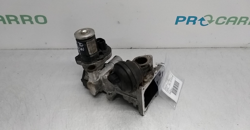 Válvula EGR (20343720).