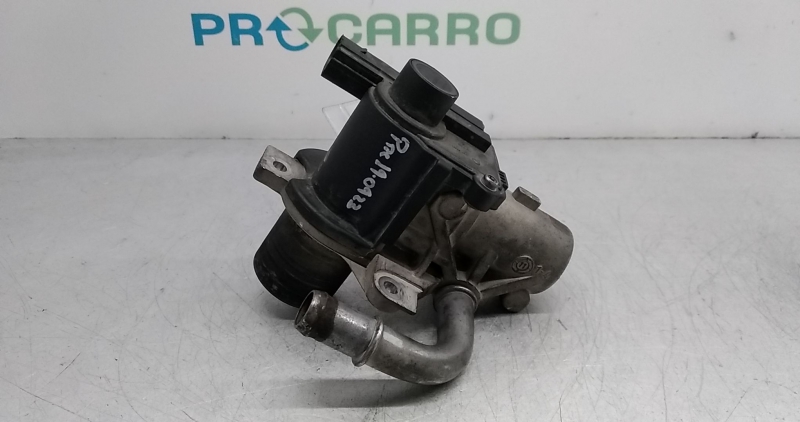 Válvula EGR (20344815).