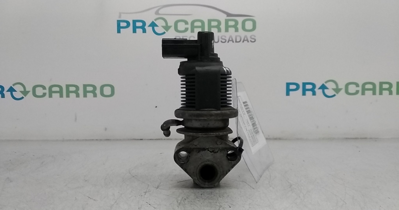 Válvula EGR (20346017).