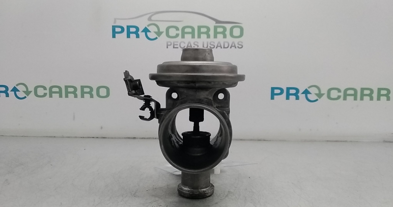 Válvula EGR (20346353).