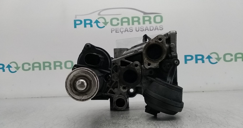 Válvula EGR (20348136).