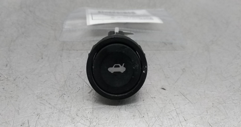 Interruptor da mala (20348969).