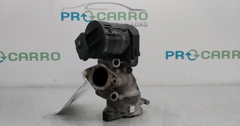 Válvula EGR (20349694).