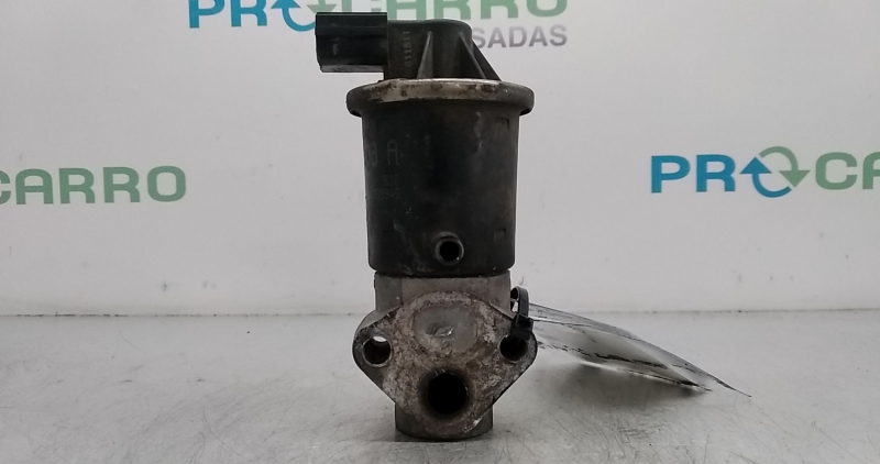 Válvula EGR (20350210).