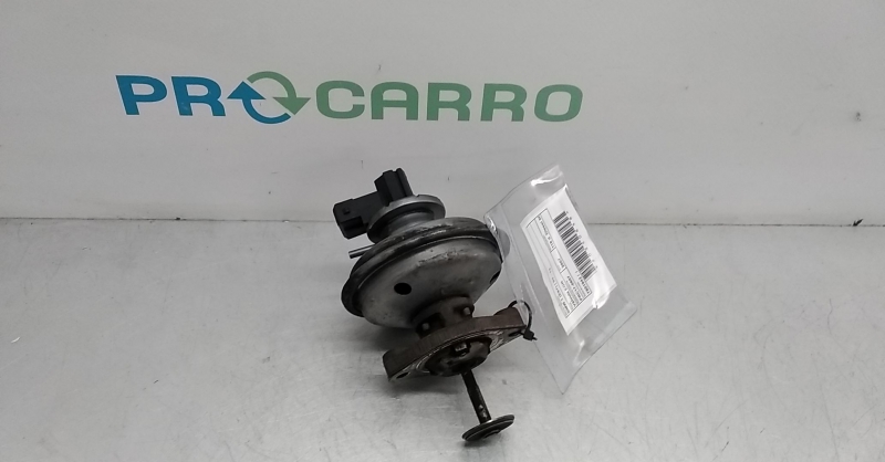 Válvula EGR (20350838).