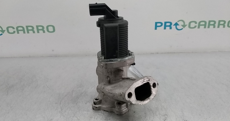 Válvula EGR (20354623).