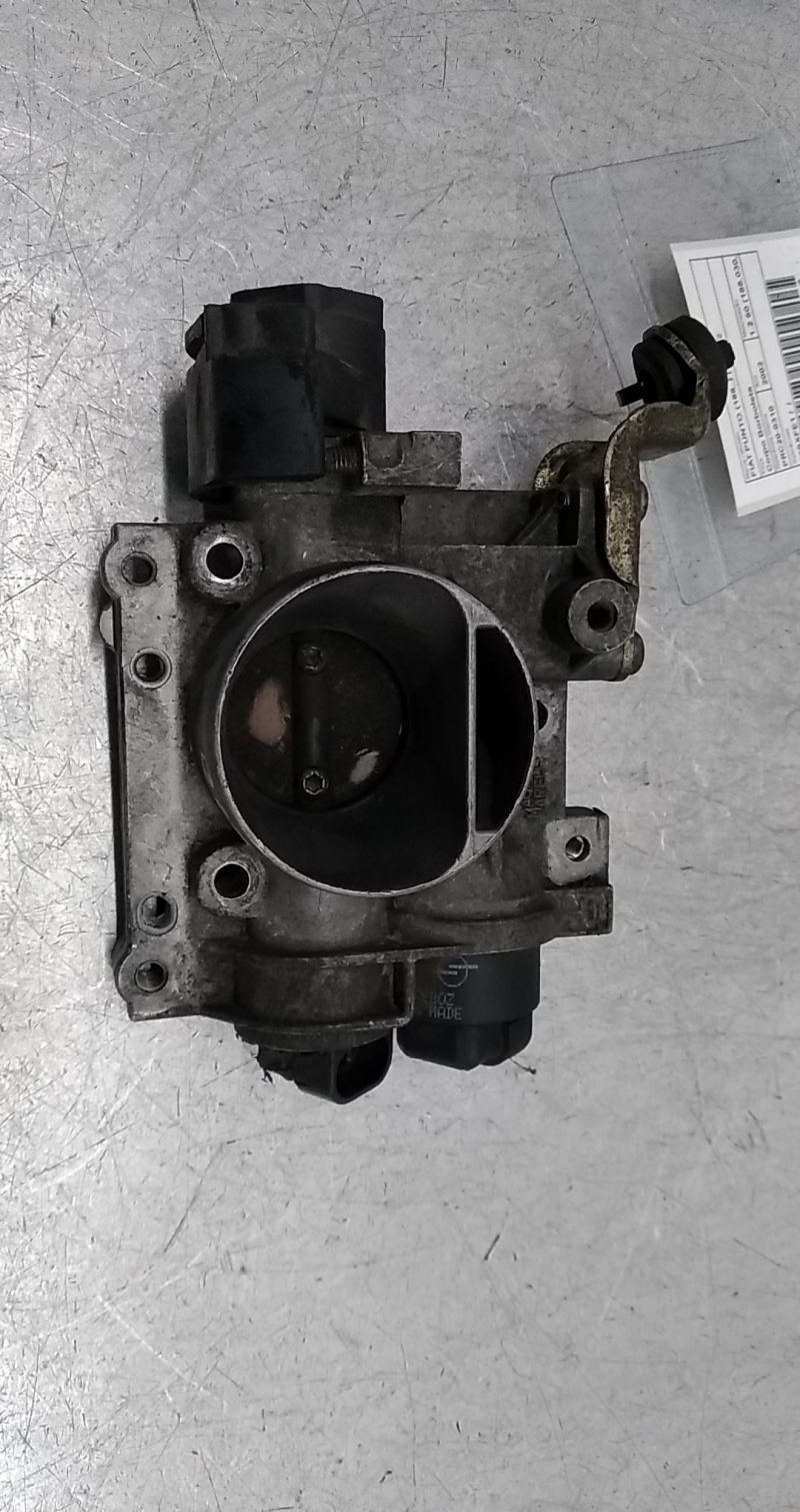 Corpo Borboleta 2 (20356536).