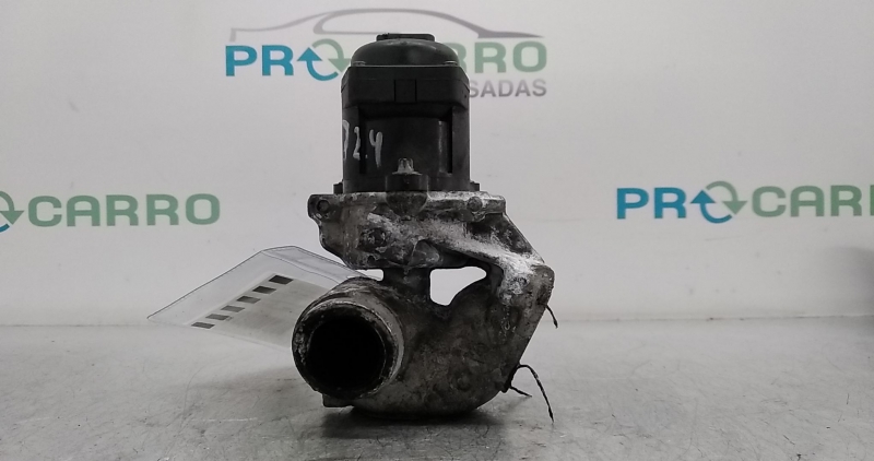 Válvula EGR (20356610).