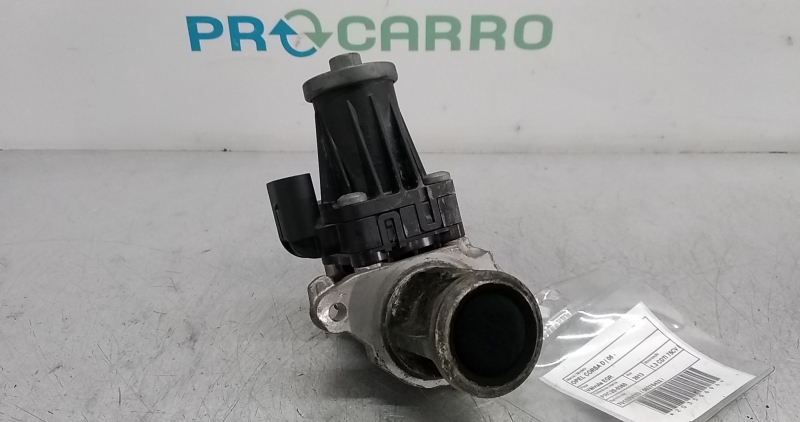 Válvula EGR (20356694).