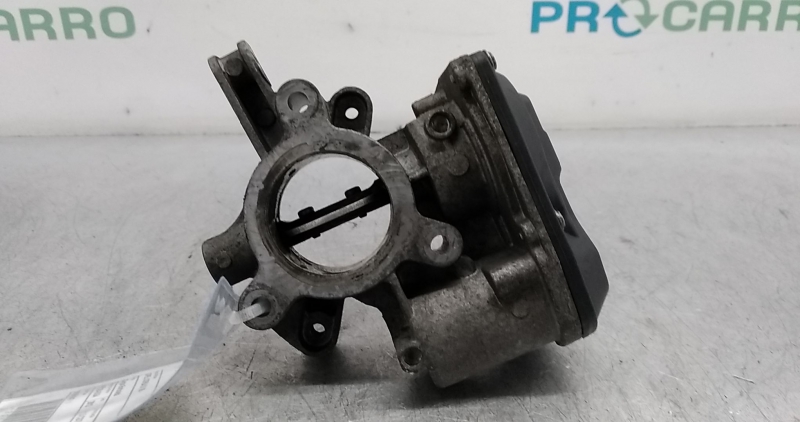 Corpo Borboleta 2 (20357771).