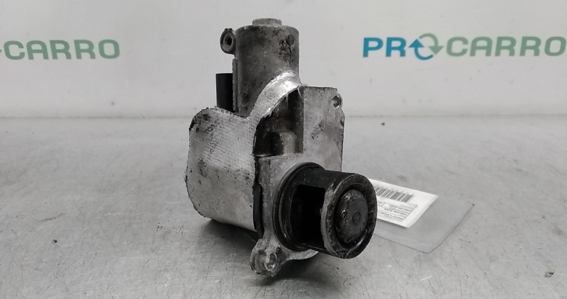 Válvula EGR (20360958).