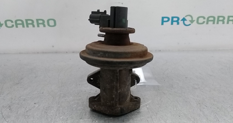 Válvula EGR (20361529).