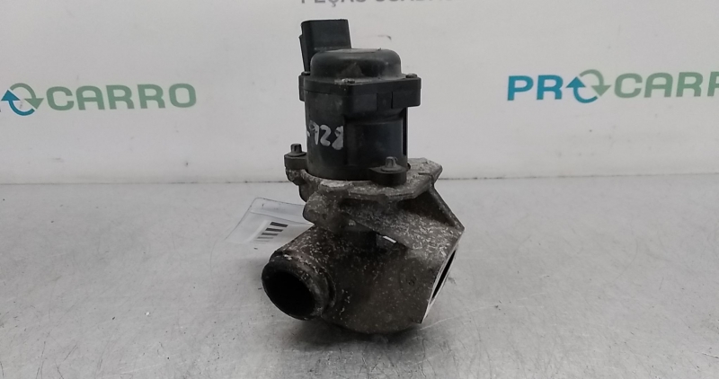 Válvula EGR (20365006).