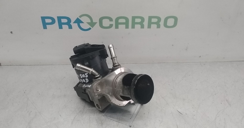 Válvula EGR (20367638).