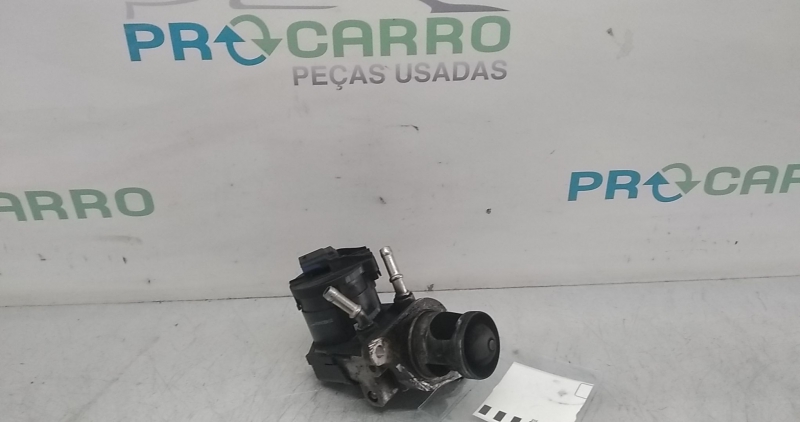 Válvula EGR (20367753).