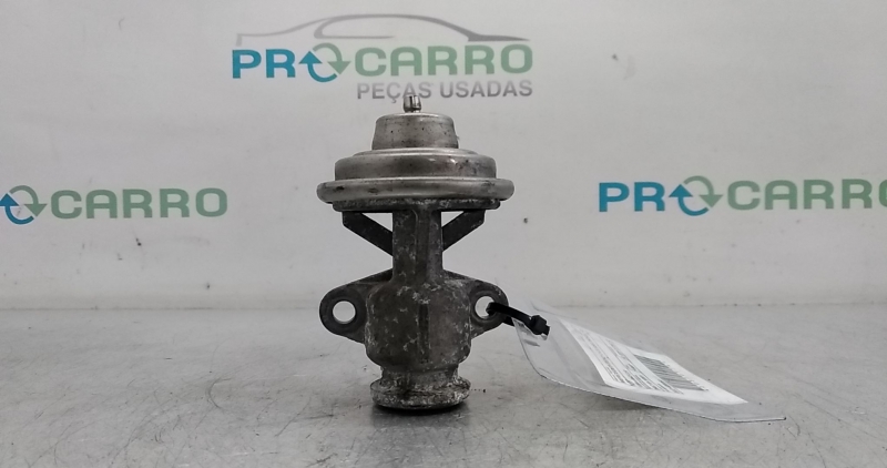 Válvula EGR (20370574).