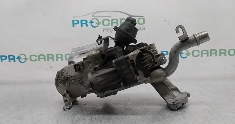 Válvula EGR (20370613).