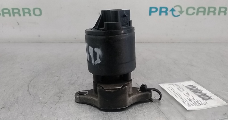 Válvula EGR (20370685).