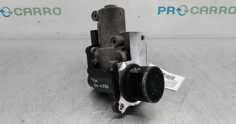 Válvula EGR (20373019).