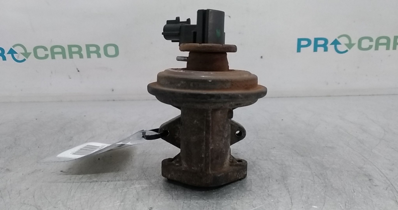 Válvula EGR (20373145).