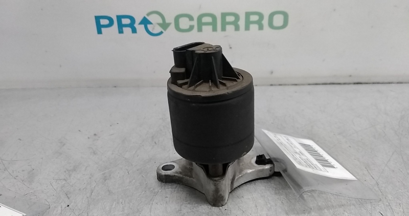 Válvula EGR (20374764).