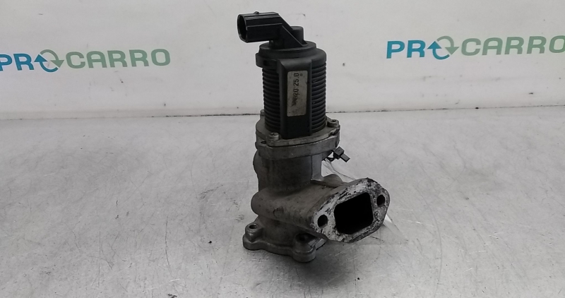 Válvula EGR (20374802).