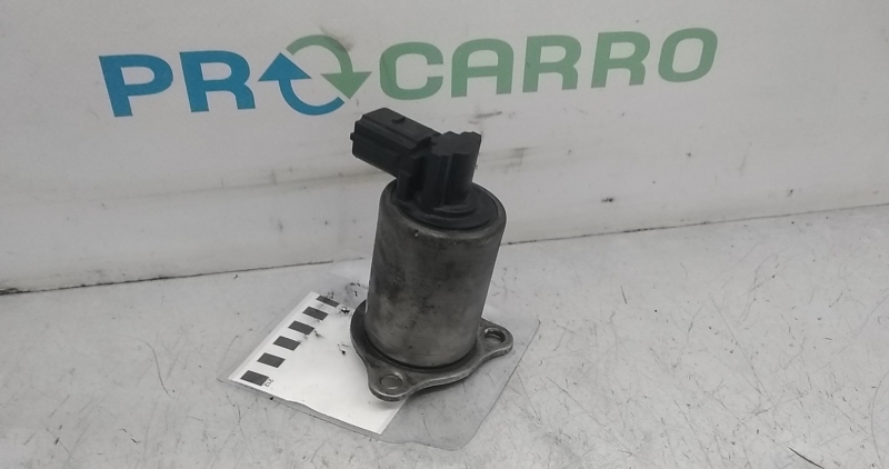 Válvula EGR (20376953).