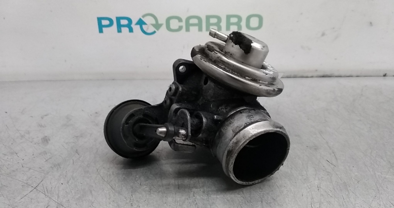 Válvula EGR (20377582).