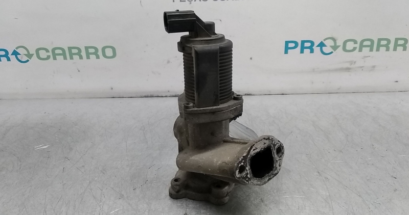 Válvula EGR (20377786).