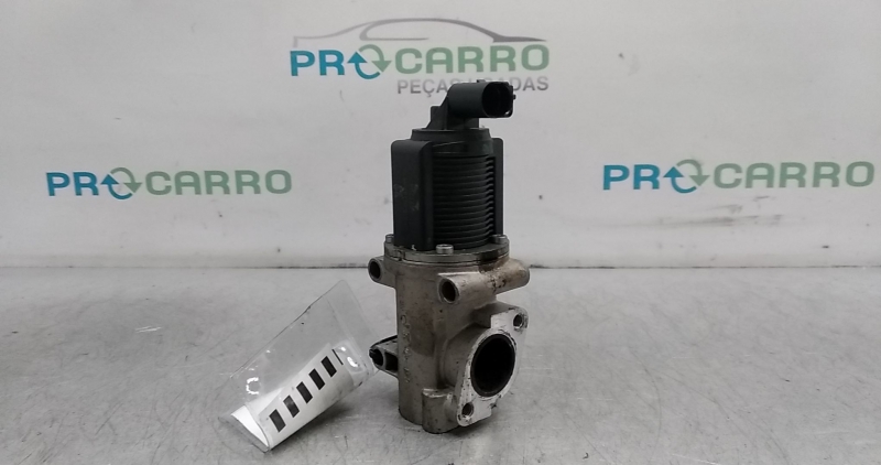 Válvula EGR (20377805).