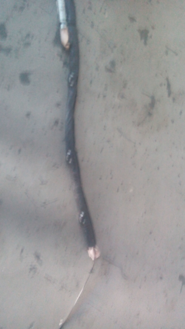 Airbags de Cortina Esq CITROEN C3 II (SC_) | 09 -  Imagem-1