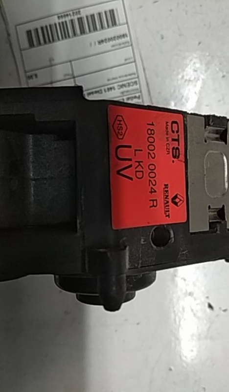 Pedal Electrico RENAULT SCÉNIC III (JZ0/1_) | 08 -  Imagem-2