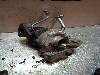 item-gallery
