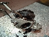 item-gallery