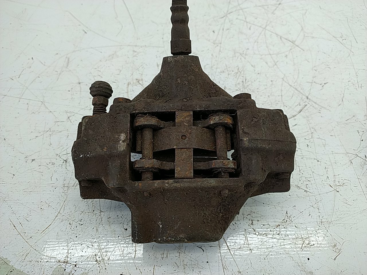 Pinça tras esquerda (109809).