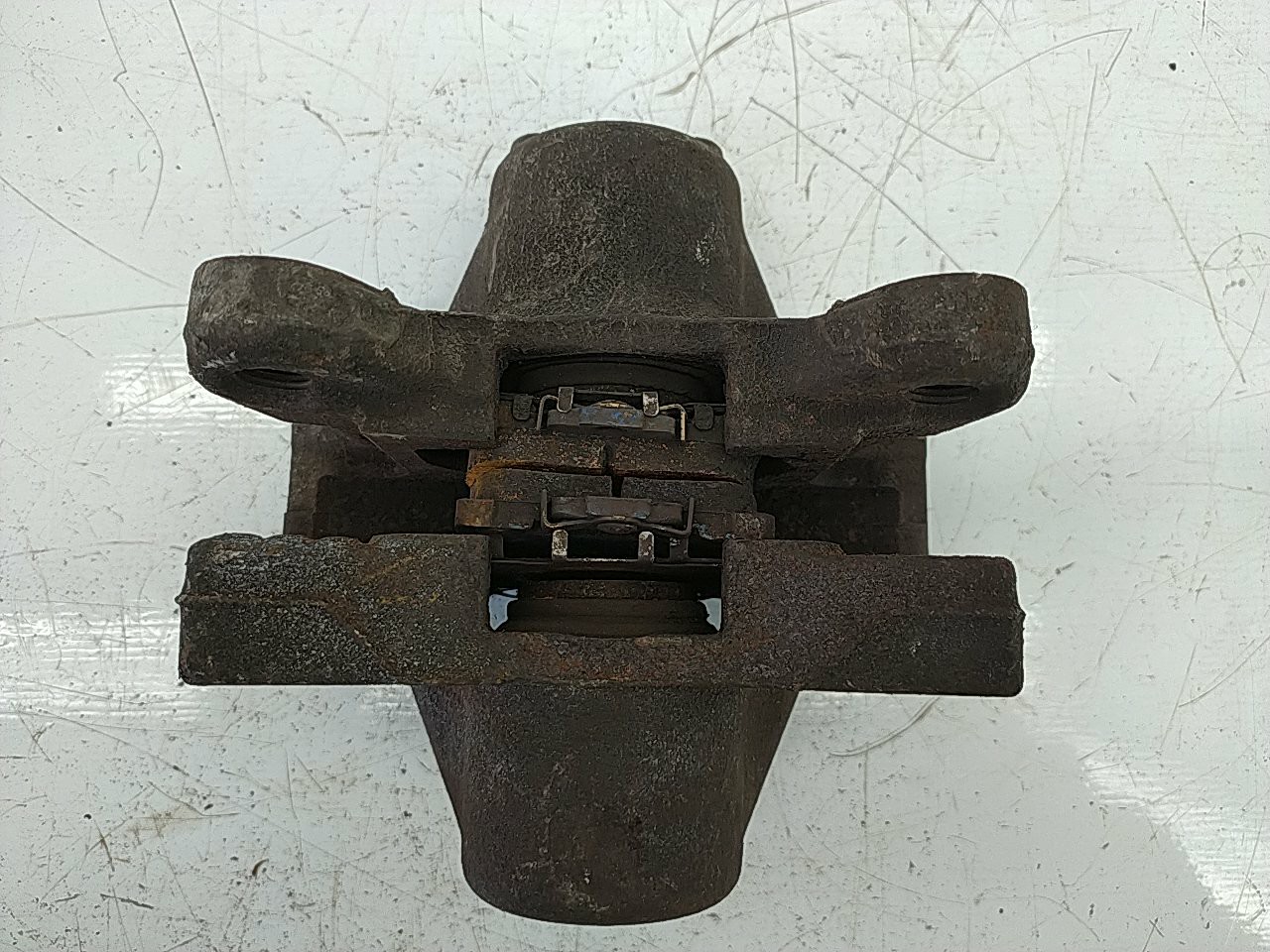 Pinça tras direita (20190186).