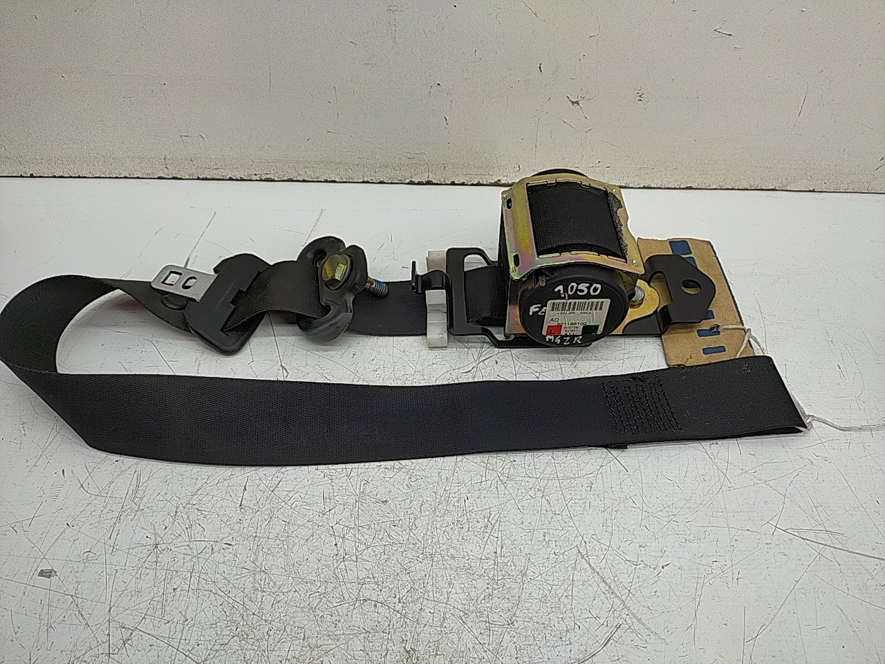 Cinto fte esq (20254367).