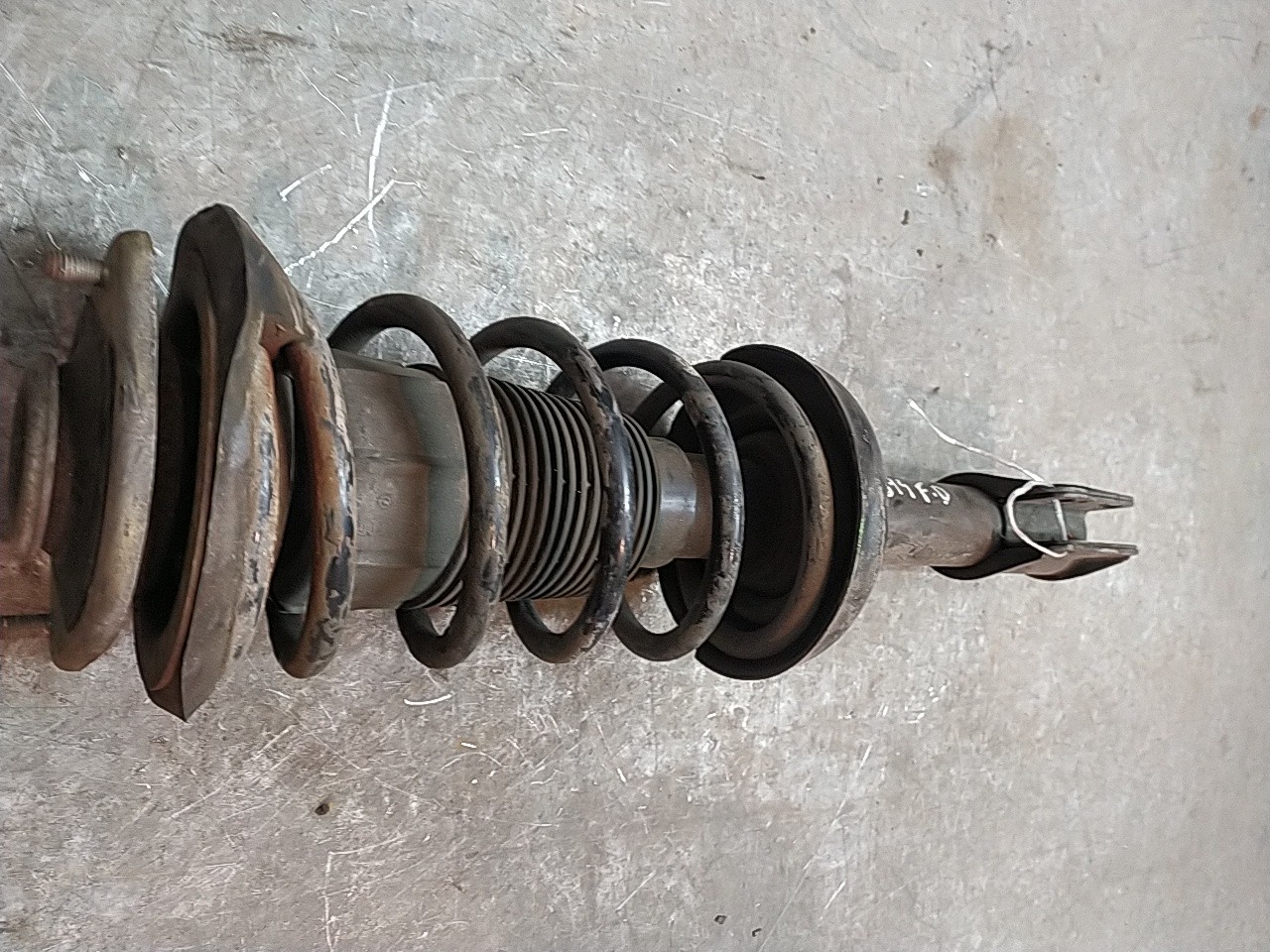 Amortecedor fte dto (20209709).