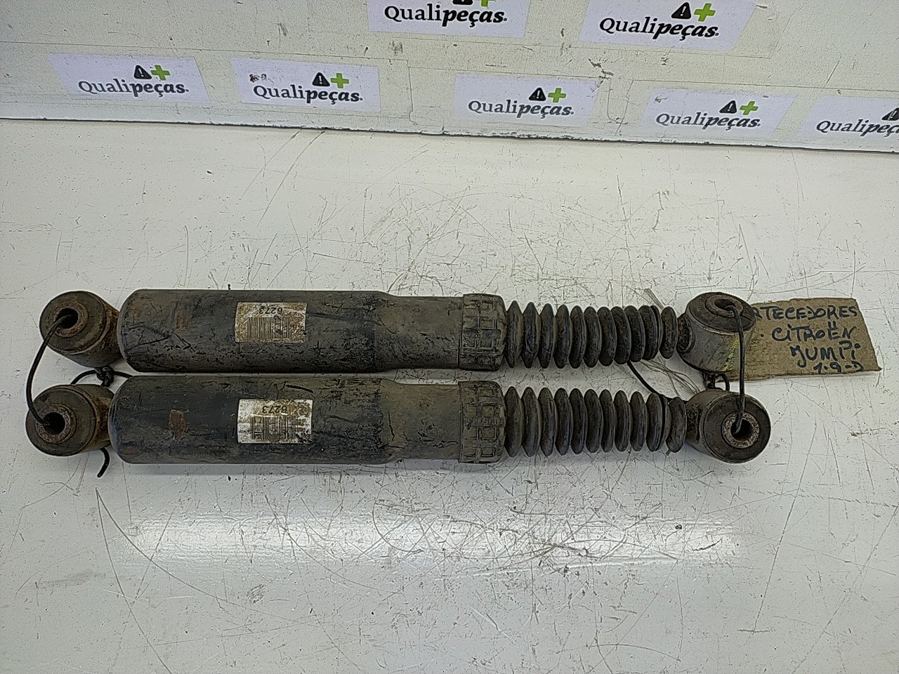 Conjunto amortecedor trás (20256602).