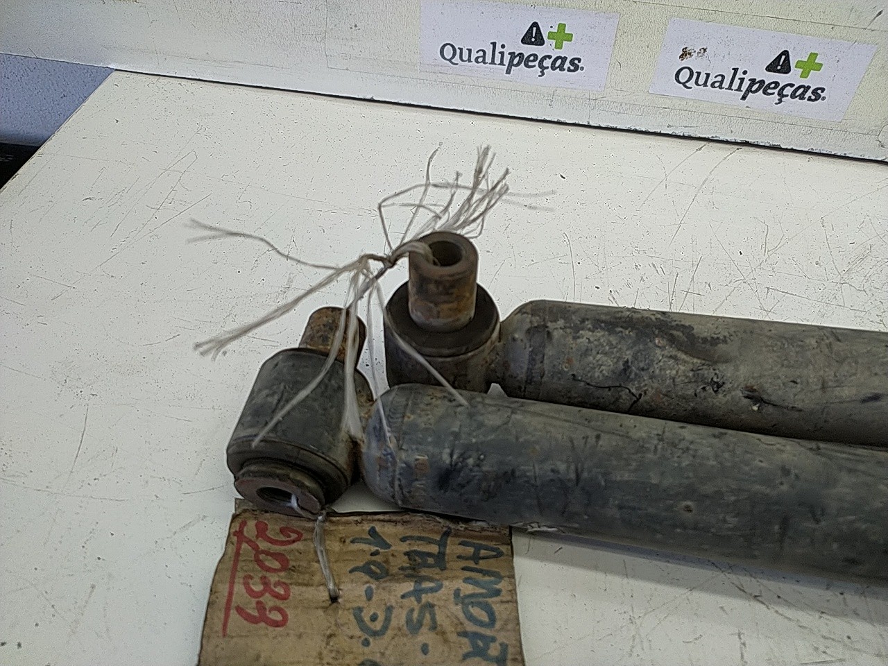 Conjunto amortecedor trás (20256608).