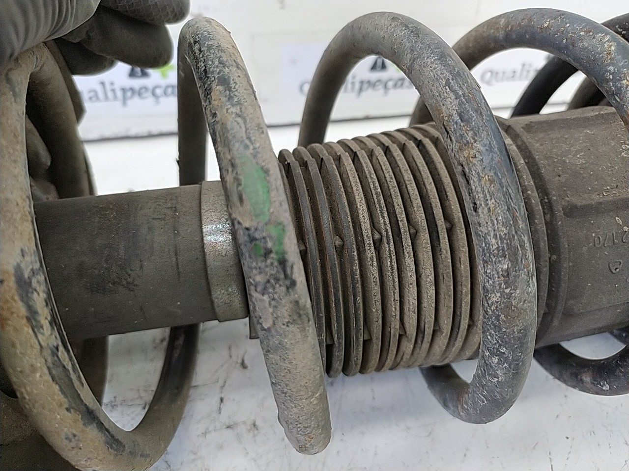 Amortecedor fte esq (20191981).