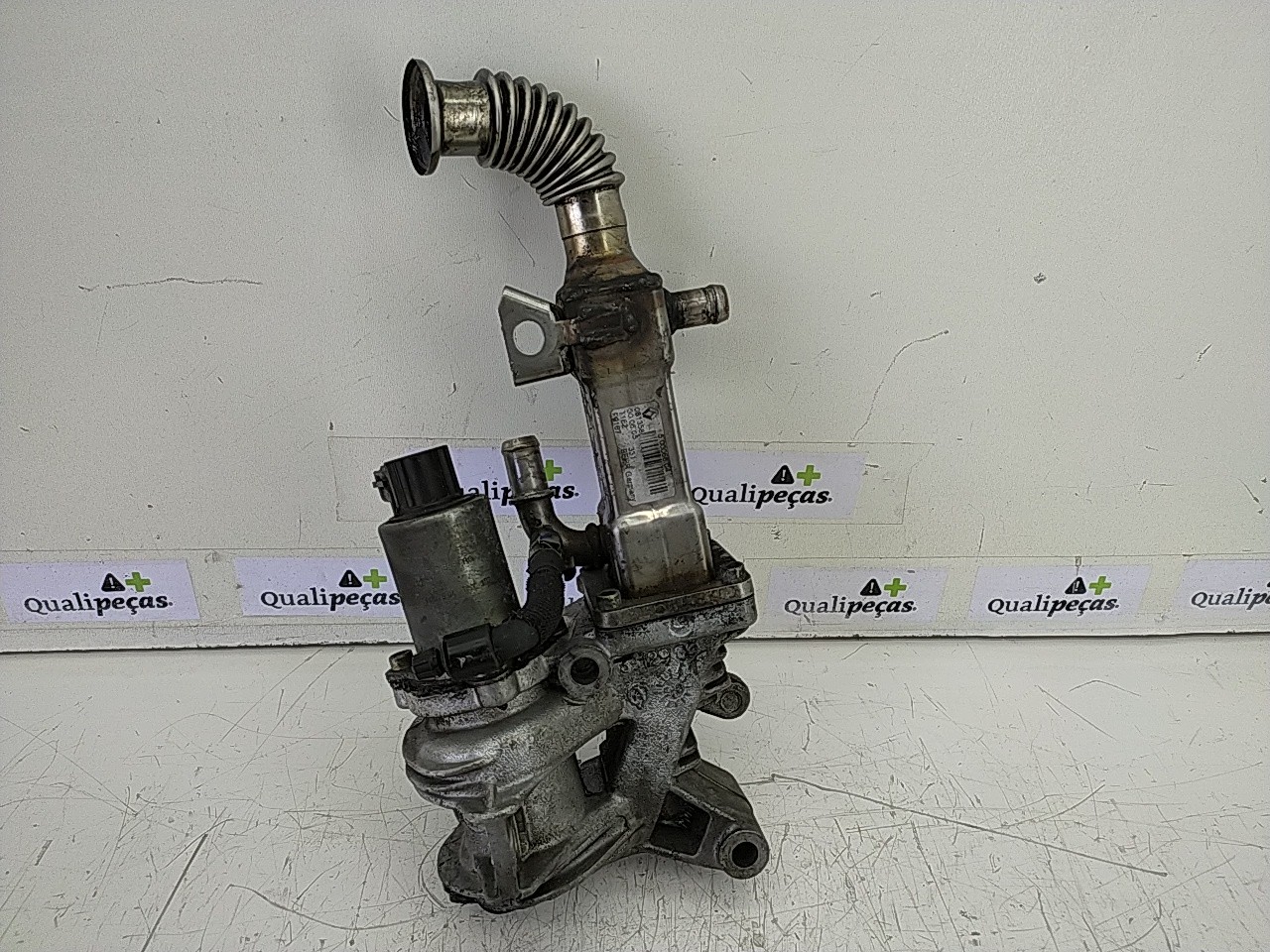 Valvula EGR (20256943).