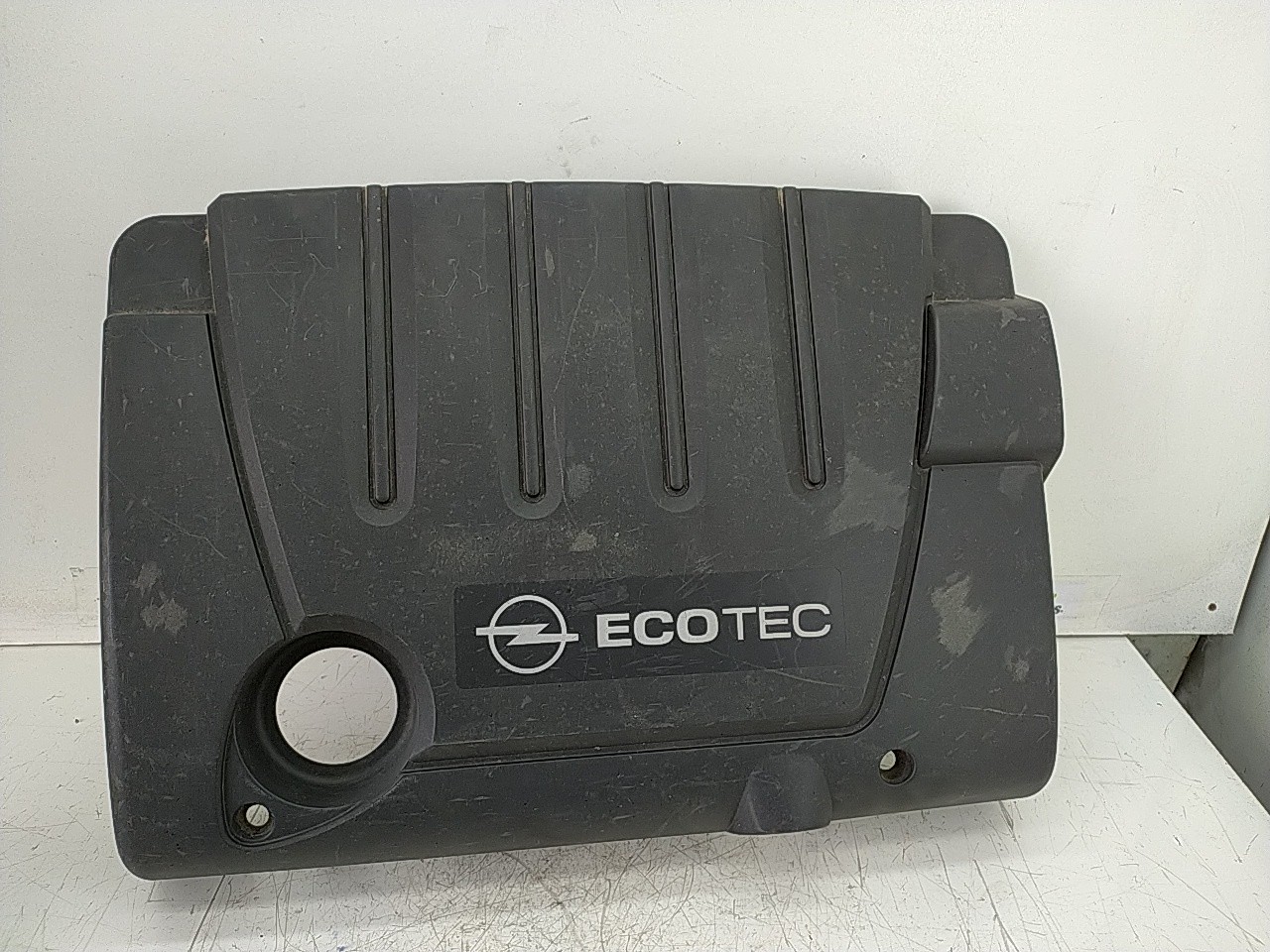 Cobertura motor (20205866).